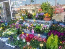 Fleuriste Eysines Au Vigean Fleuri